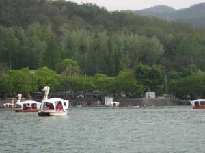 Beautiful Suseong Lake